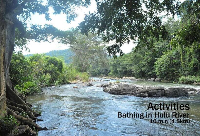 Стандартный Номер Кровать Кинг, Kings Green Castle Kandy