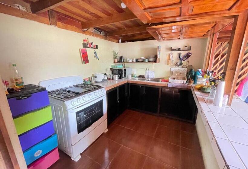 스탠다드 룸, Malinche Hostel