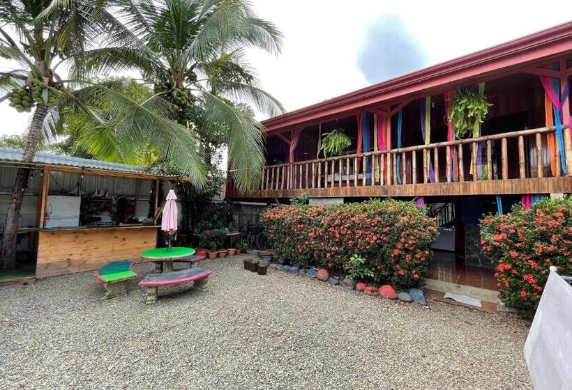 스탠다드 룸, Malinche Hostel