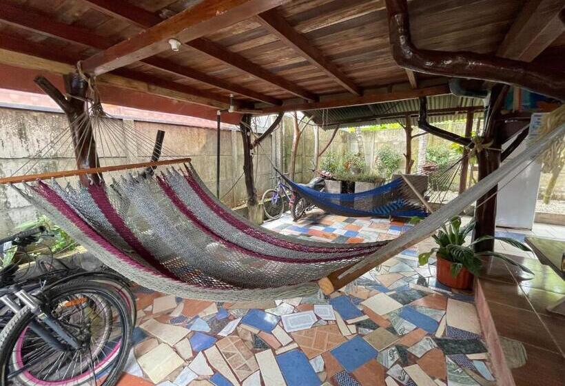 공동 객실, Malinche Hostel