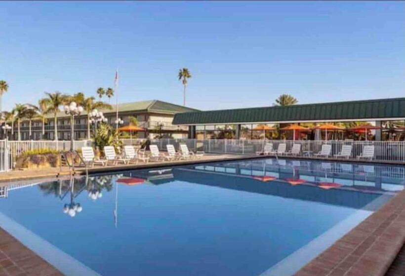 חדר סטודיו סטנדרד, Slice Of Sarasota S Paradise Sarasota Bayfront