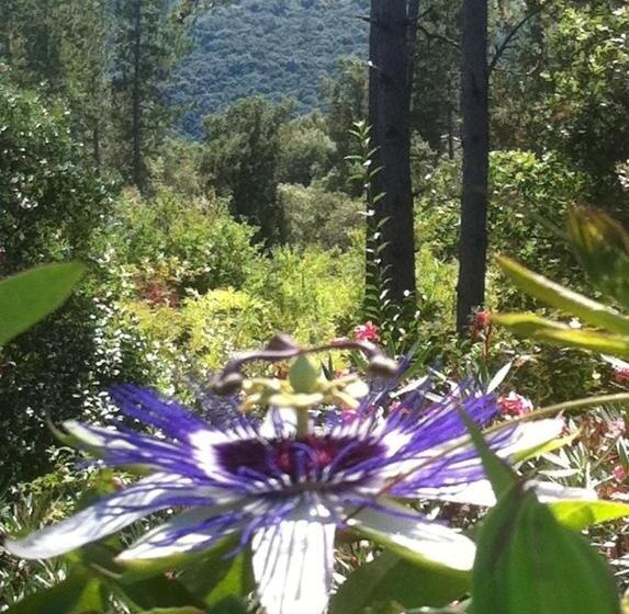 Номер Стандарт Вид на Сад, Les Jardins De Valaurie