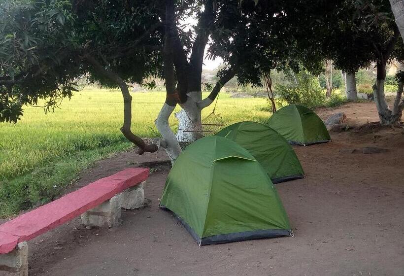 Standard Tent, Sunrise Guest House & Restaurant