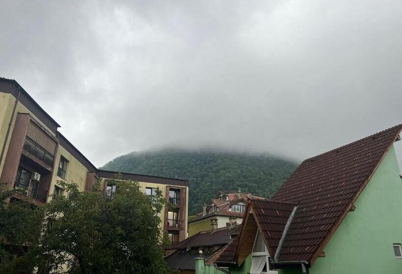 带大床的高级房间, Casa Basarab Brasov