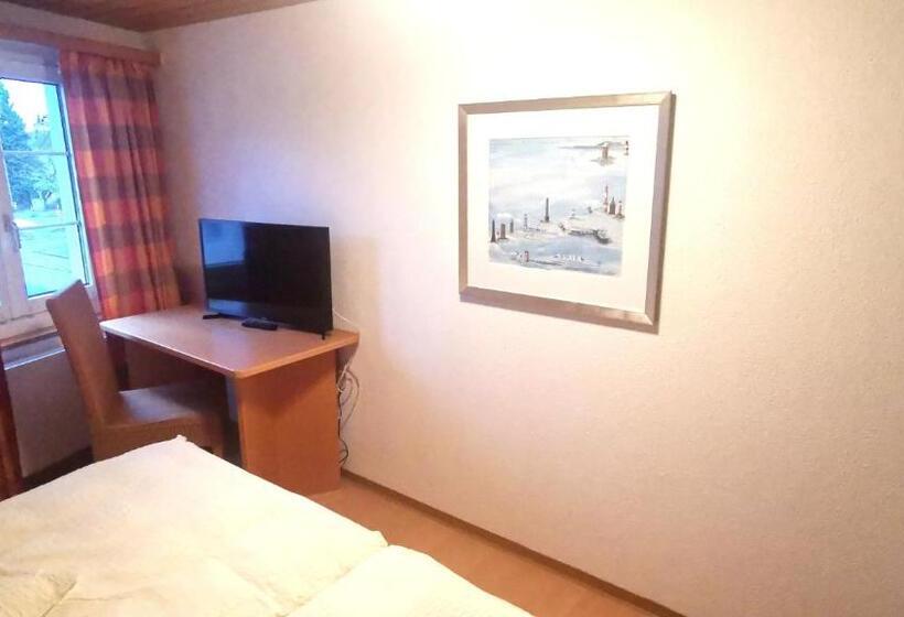 Номер Стандарт с Террасой, Il Fiore Hotel Steinach Sg