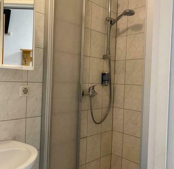 Номер Стандарт Индивидуальный, Gasthaus & Hotel Backhendlstation