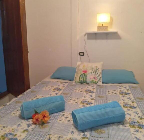 StandaardKamer, Hone Sweet Hone