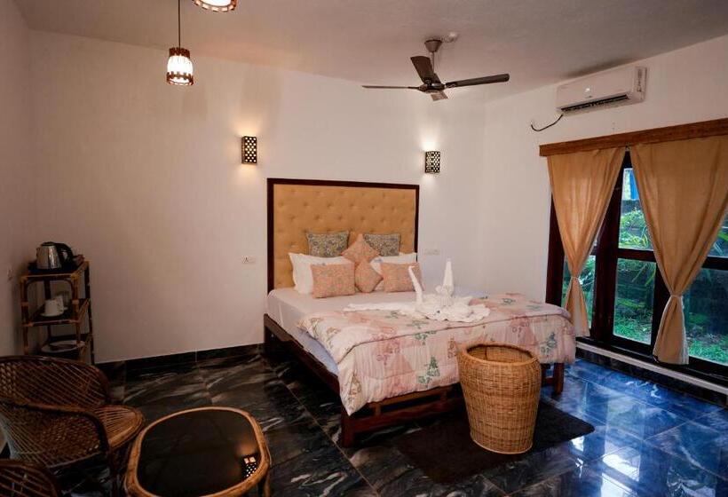 اتاق استاندارد, Driftwood Beach Resort