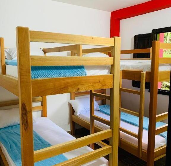浴室共有スタンダード４人用ルーム, Finca Hotel Calle Jardin