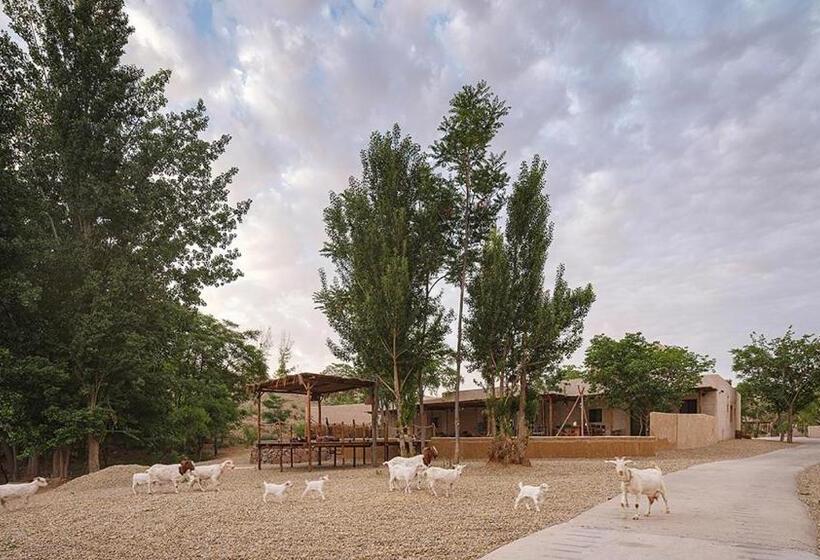 اتاق استاندارد اینتریور, South Zhongwei Resort