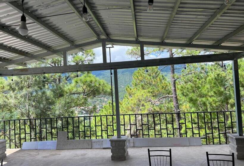 اتاق استاندارد, Aoki Valle De ángeles