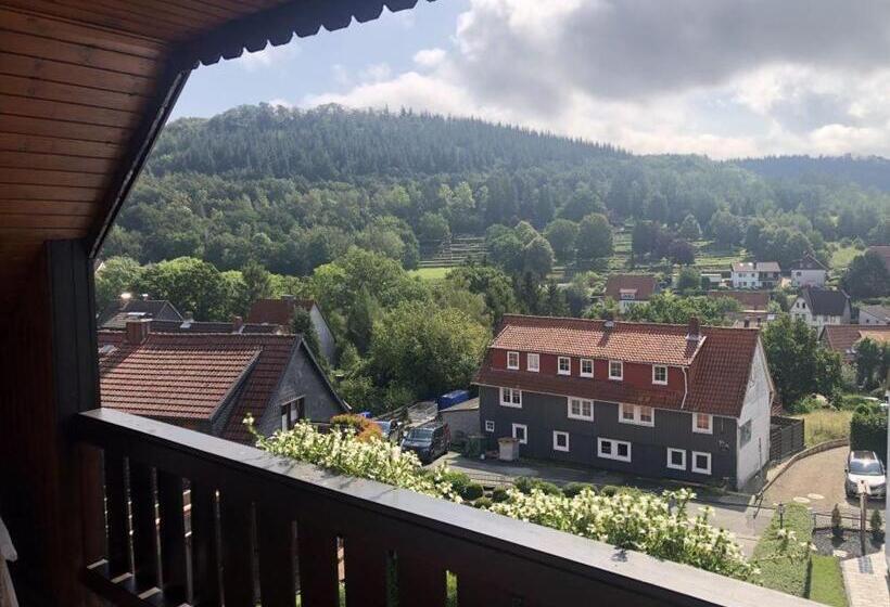 Номер Стандарт Индивидуальный с Балконом, Harzhotel Grünett