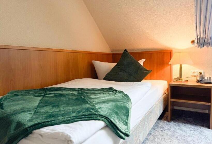 Номер Стандарт Индивидуальный с Балконом, Harzhotel Grünett