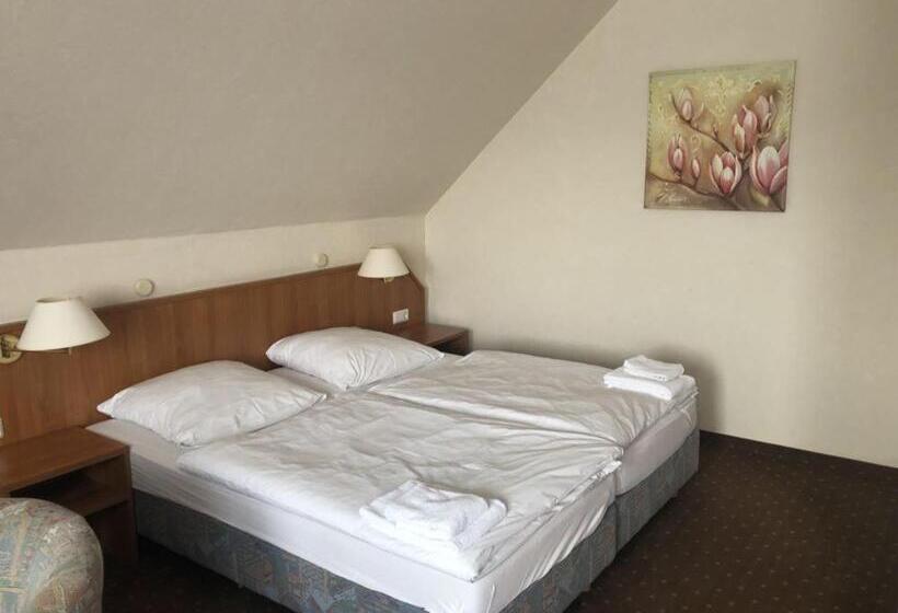 スタンダードルーム, Harzhotel Grünett