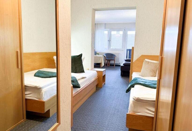 Номер Стандарт, Harzhotel Grünett