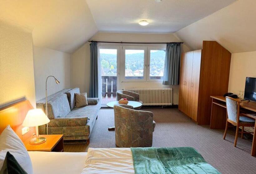 バルコニー付きデラックスルーム, Harzhotel Grünett