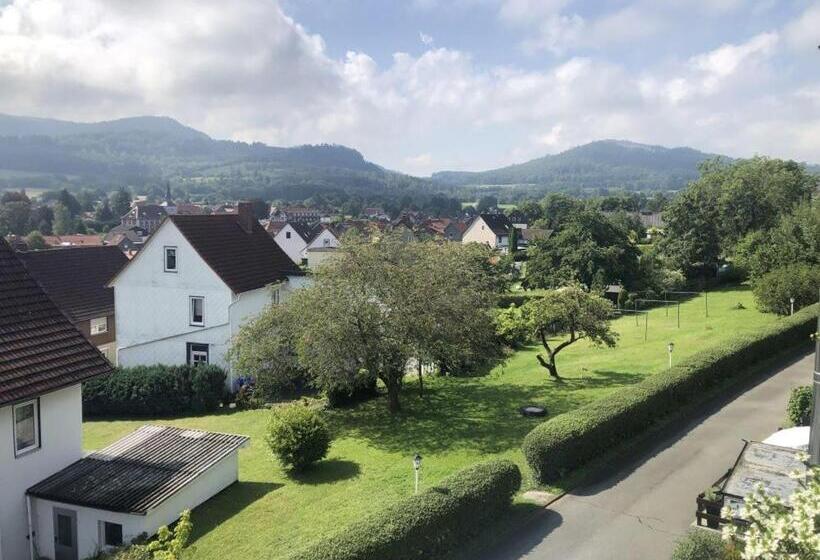 バルコニー付きデラックスルーム, Harzhotel Grünett
