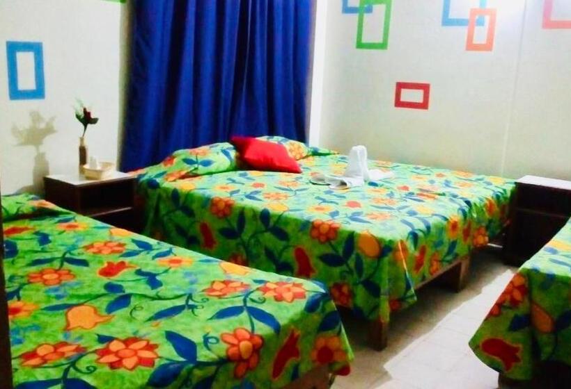 ファミリールーム, Zócalo Abuelos