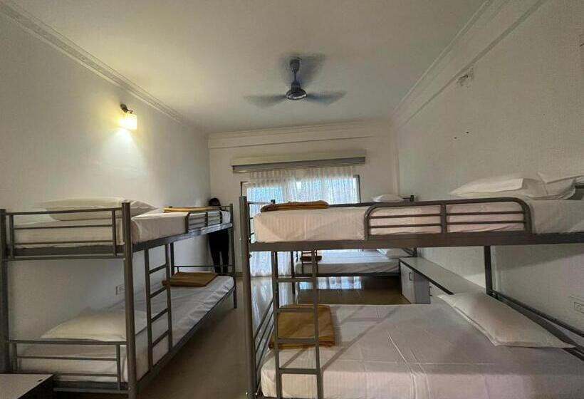 共用房间的床, Del Hostel