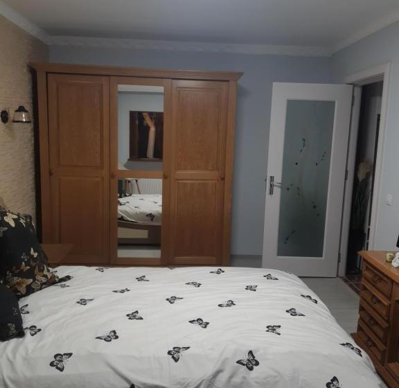 اتاق لوکس, Desired Vacation Home