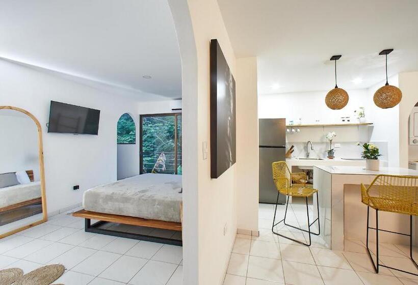 استودیوی لوکس, Deluxe Loft 1 Bdr Con Linda Vista
