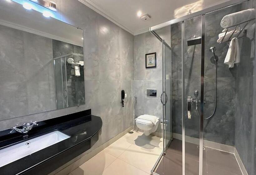 اتاق لوکس, A S Hotels