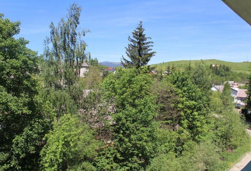 اتاق استاندارد با چشم‌انداز کوهستان, Yasinya