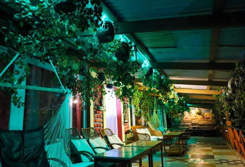 سوییت با چشمانداز کوه, Kodai Heaven