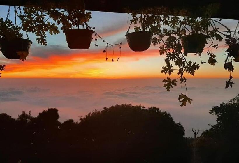 اتاق استاندارد, Kodai Heaven