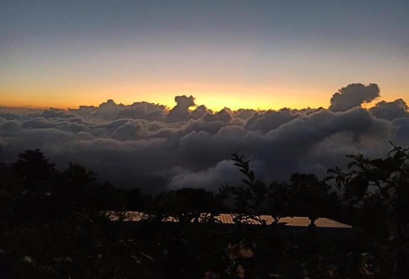 سوئیت جونیور با تراس, Kodai Heaven