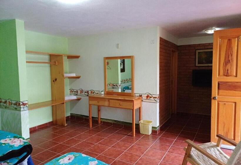 Номер Стандарт, Plaza Don Gabino Hotel Y Restaurante