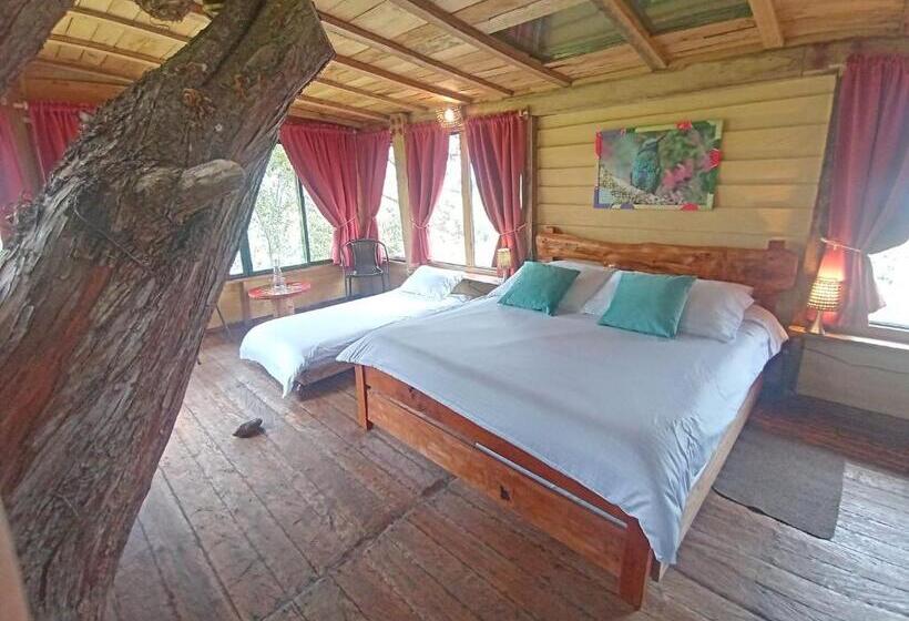 Бунгало Стандарт, Monte Verde Cabañas Y Camping