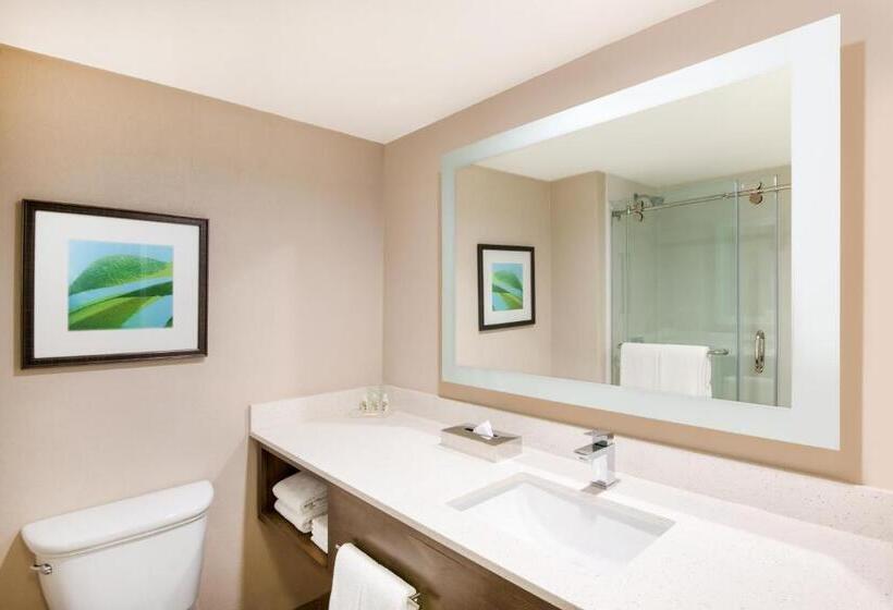 스탠다드 룸 킹사이즈 침대, All Inclusive Holiday Inn Resort Aruba   Beach Resort & Casino, An Ihg