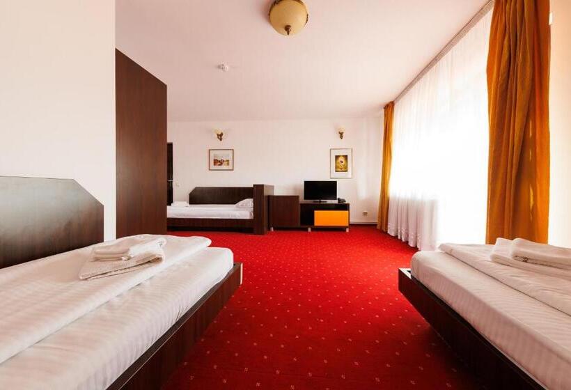 Номер Стандарт, Complex Turistic Max International