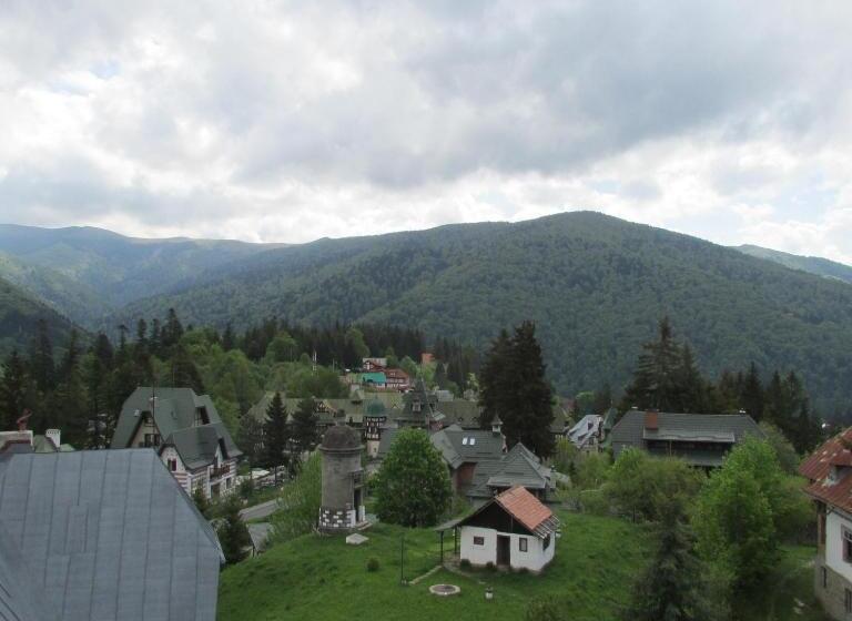 Номер Стандартный с Видом, Marea Neagra
