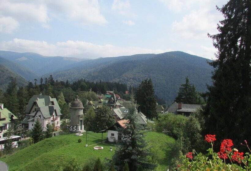 Номер Стандарт Вид на Горы, Marea Neagra
