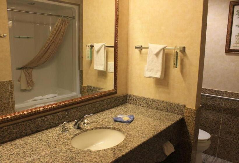 Family Suite, Rushmore Express Keystone