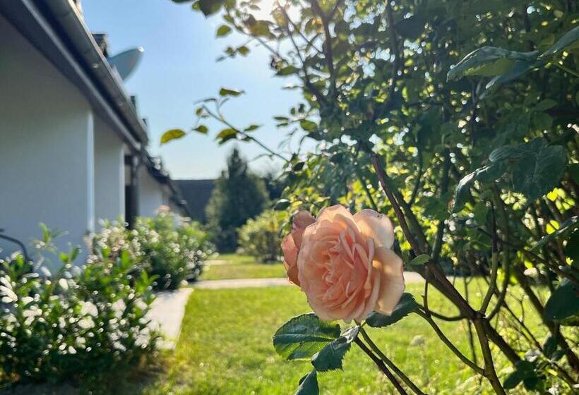 Номер Стандарт с Террасой, Landhotel Rosenhof Am Plauer See Garni Mit E Säule
