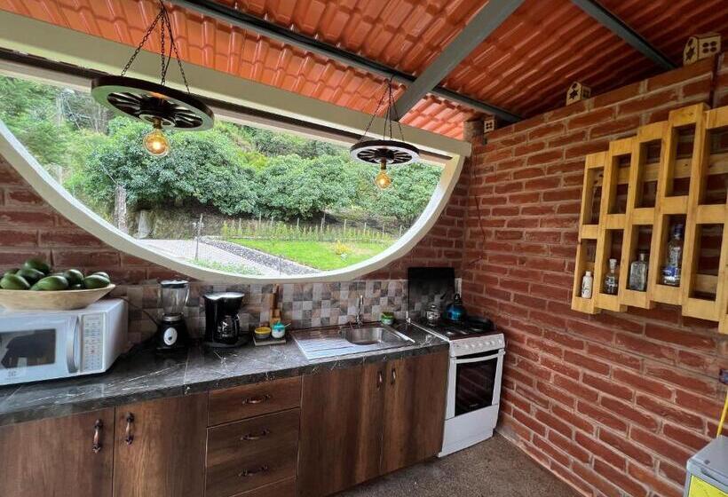 اتاق استاندارد با تراس, Habitación Privada Con Terraza Panorámica, Cocina, Parqueadero