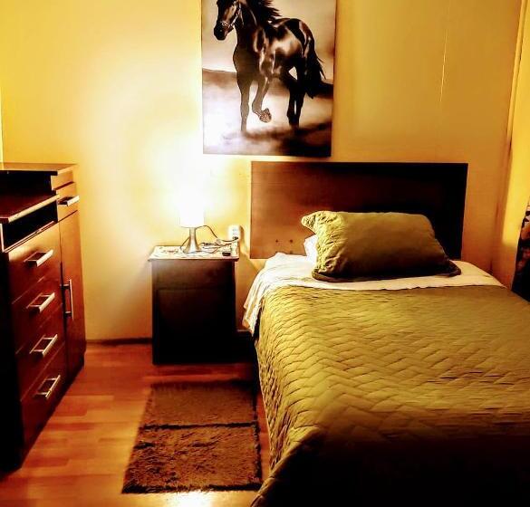 اتاق استاندارد یک تخته با سرویس بهداشتی مشترک, Hostal Aire Patagon