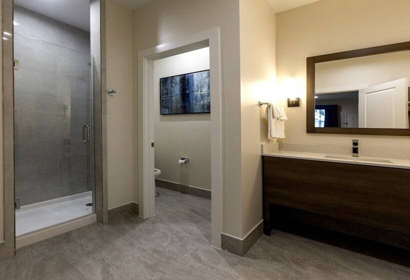 اتاق استاندارد, Palace Inn Blue Edgebrook