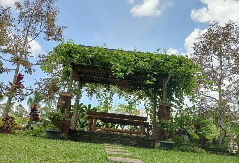 디럭스 룸, Sekumpul Bali Hidden Space