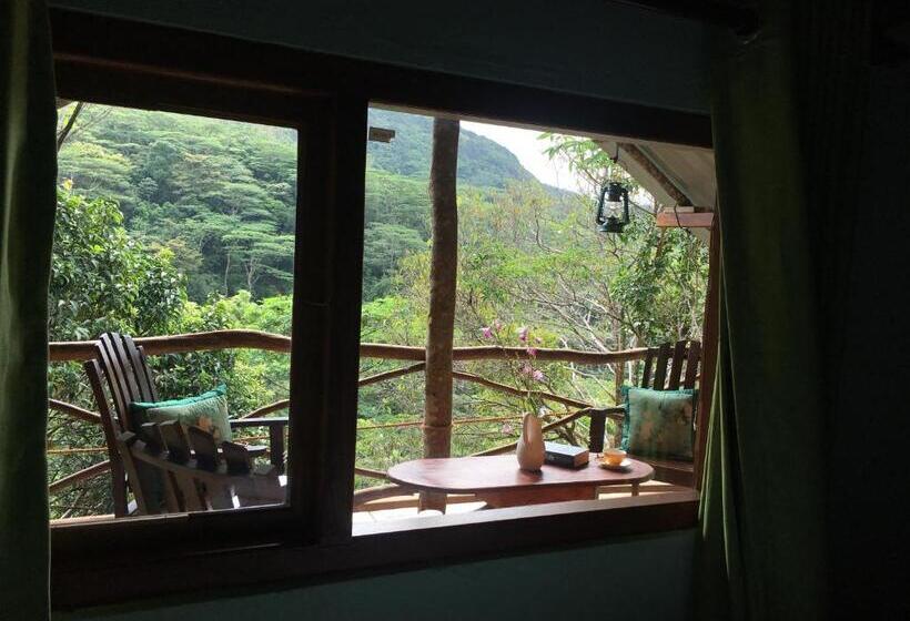 Family Suite, The Vintage Villa   Knuckles