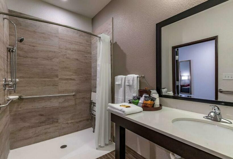 适合残疾人使用的标准间, Best Western Plus Big Lake Inn