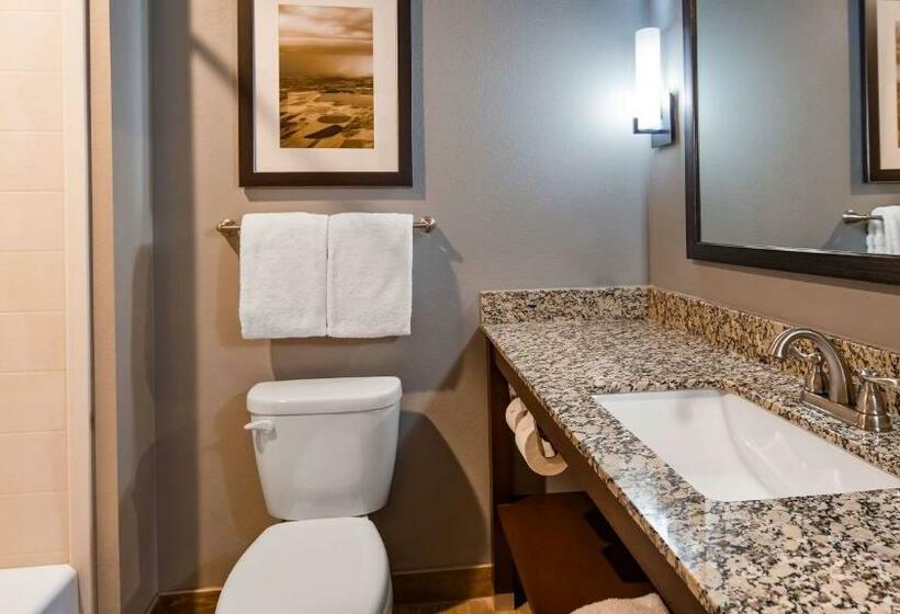 스탠다드 룸 킹사이즈 침대, Best Western Plus Overland Inn