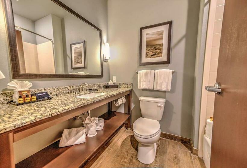 Номер Стандарт, Best Western Plus Overland Inn
