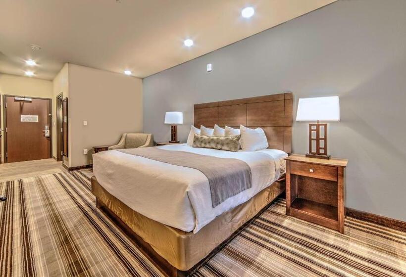 스탠다드 룸 킹사이즈 침대, Best Western Plus Overland Inn