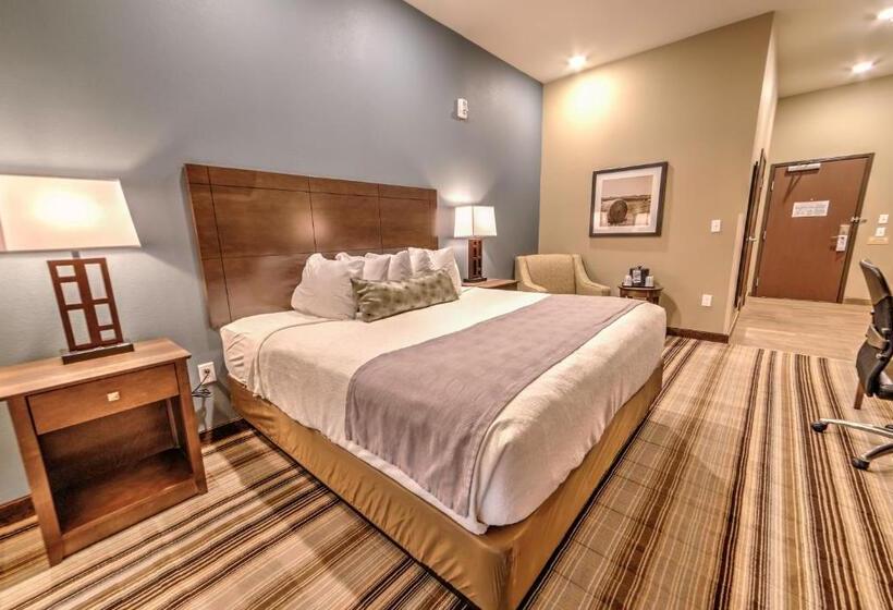 Номер Стандарт Кровать Кинг Адаптированный для Инвалидов, Best Western Plus Overland Inn