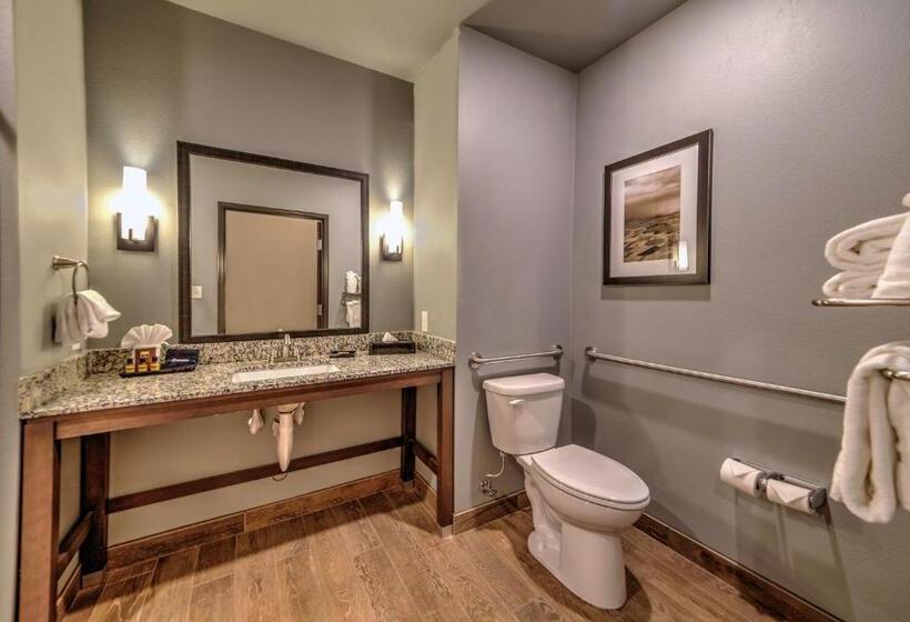 Номер Стандарт Кровать Кинг Адаптированный для Инвалидов, Best Western Plus Overland Inn