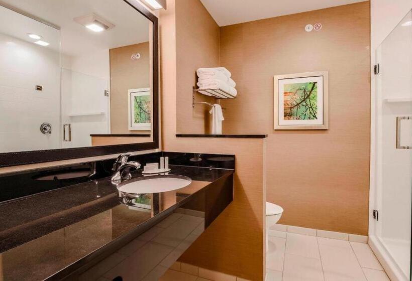 Номер Стандарт, Fairfield Inn & Suites By Marriott Snyder